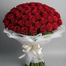 Букет 101 Красная роза Блэк Мэджик в Гелдагане