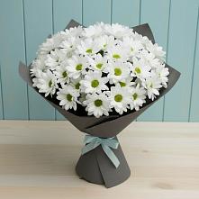 Букет цветов из:  Хризантемы в Гелдагане
