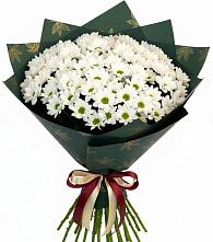 Букет цветов из:  Хризантемы в Гелдагане