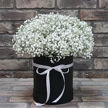 Цветочная композиция из Гипсофила в шляпной коробке #REPLACE_PRED# Гелдагане