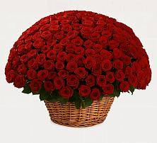 Премиум букет из: Розы в Гелдагане